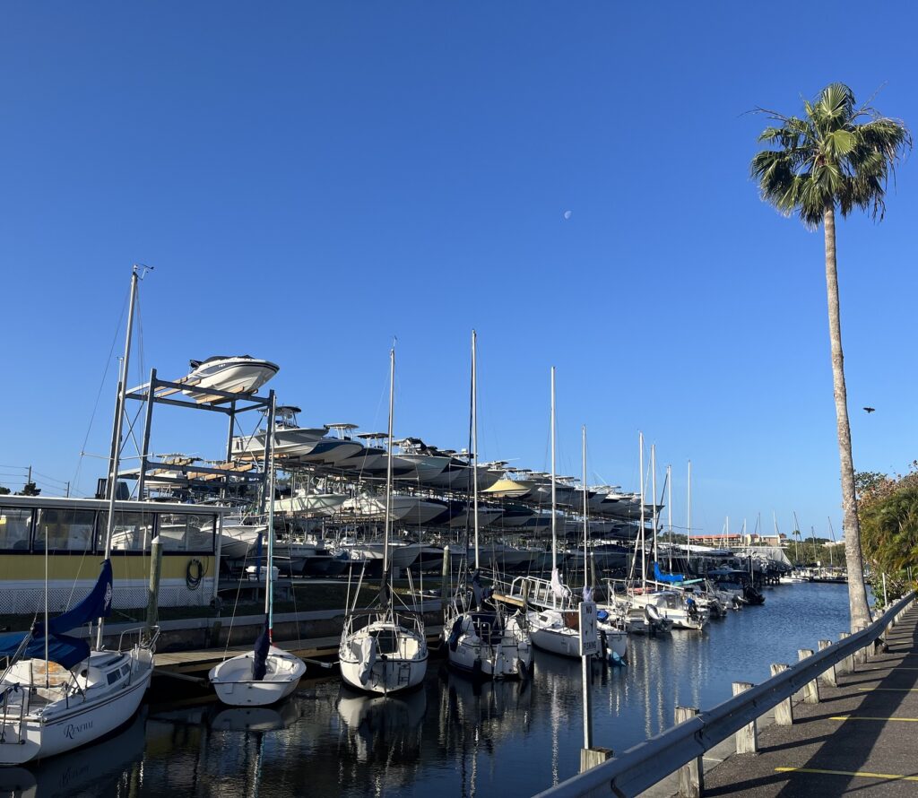 Palm Harbor, Florida marina
