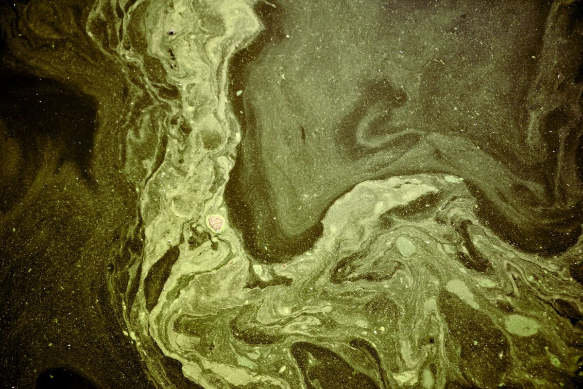 10,600 Gallons of Sewage Dumped in St Pete